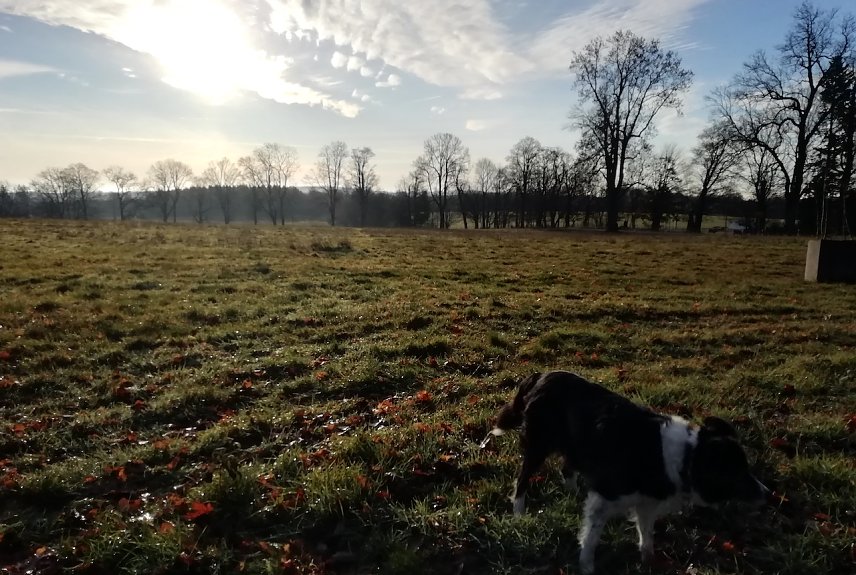 Bild: 0 Grad, leichter Wind und Sonne. Ideal zum Wandern zeigt sich heute der n&ouml;rdlichste Punkt Th&uuml;ringens in Sophienh&ouml;he