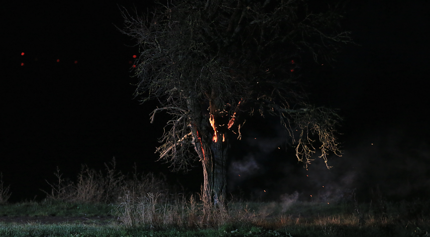 Bild: Brennender Baum bei Holzengel