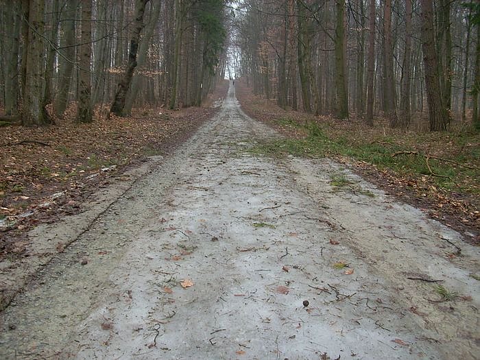 Bild: 20. Possenlauf