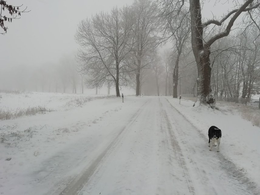 Bild: Ungem&uuml;tlich aber gut mit Schnee bedeckt pr&auml;sentierte sich heute morgen auch Sophienhof