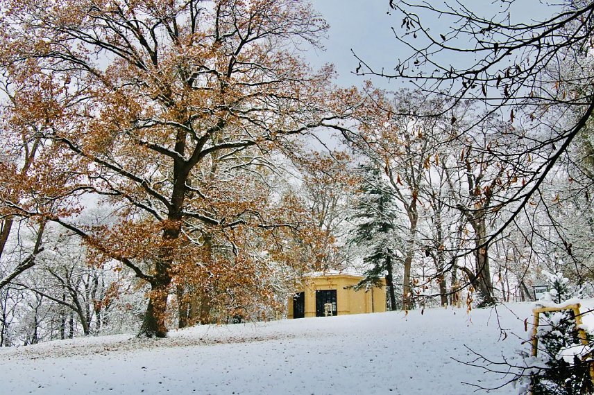 Bild: Winterimpression aus dem Park Hohenrode in Nordhausen