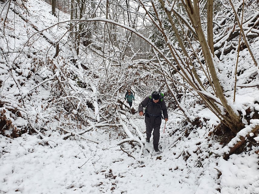 Bild: Eine wundersch&ouml;ne Winterlandschaft, die aber nicht immer leicht zu begehen war; hier kurz vor Steigerthal acht Kilometer nach dem Start.�