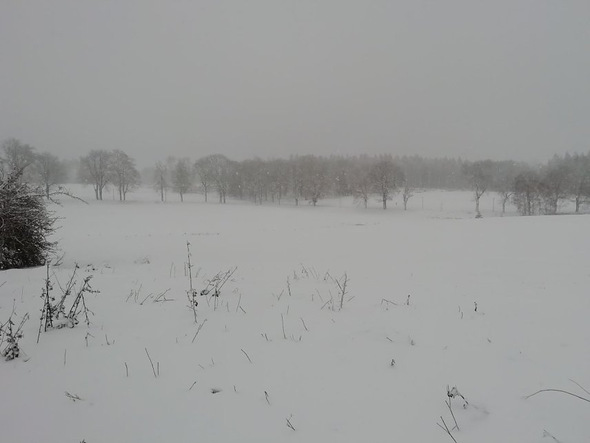Bild: Im Harz zeigte sich der Dezember heute von seiner ungem&uuml;tlichen Seite