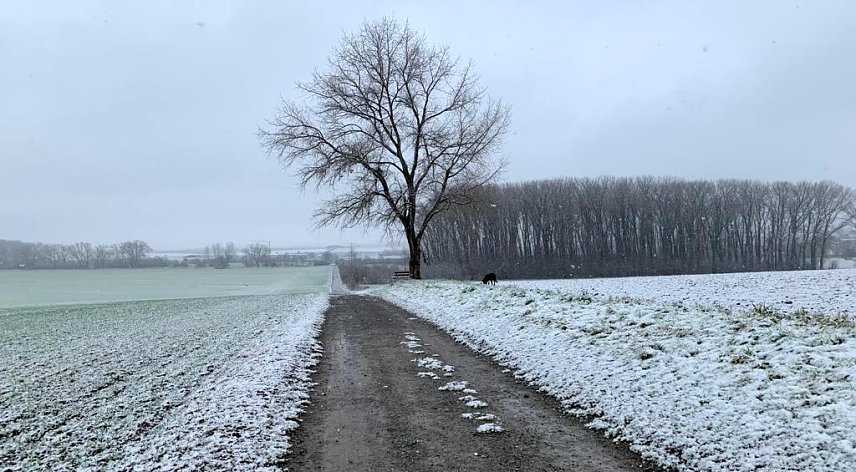 Bild: Das winterliche Wetter bleibt uns erhalten