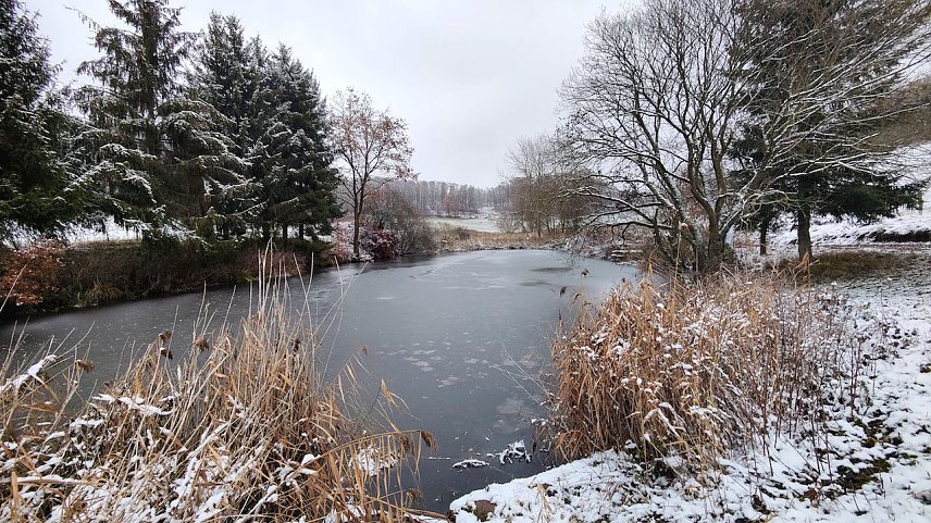 Bild: Unterwegs in der Natur