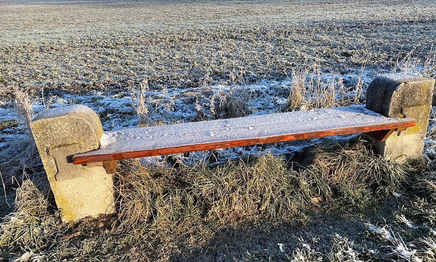 Bild: Morgenfrost
