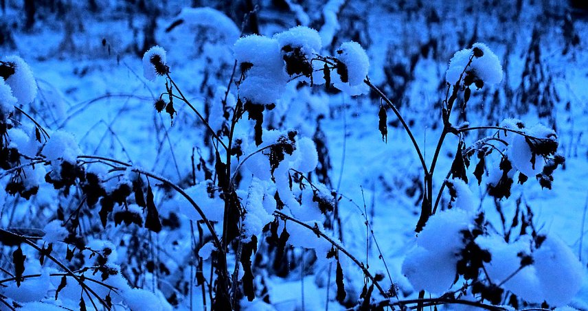 Bild: Eisige K&auml;lte im Brandesbachtal