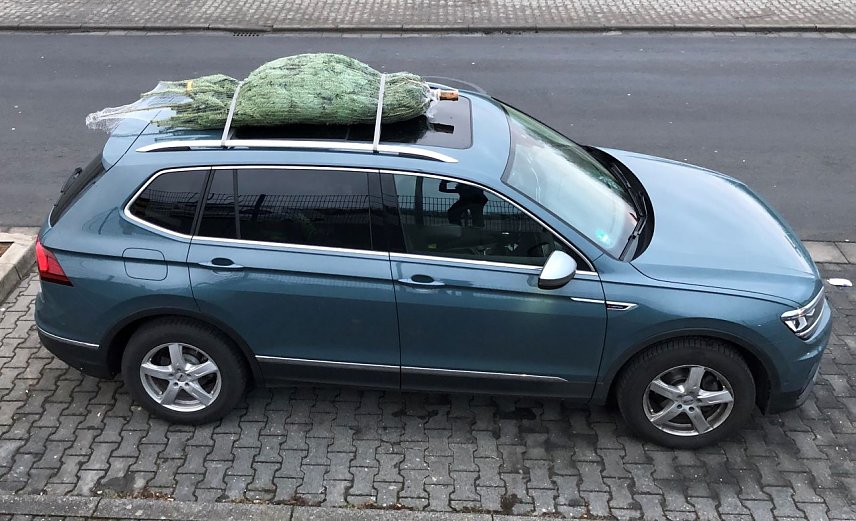 Bild: Weihnachtsbaumtransport auf dem Autodach