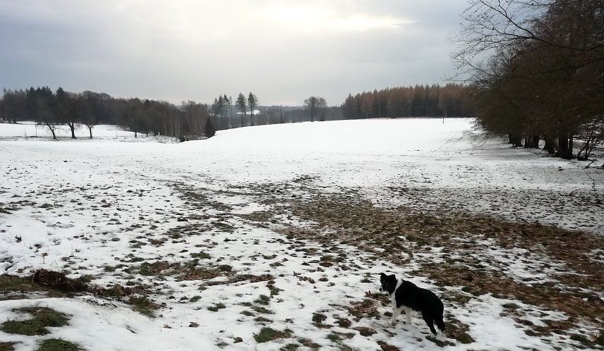 Bild: Wind, Regen und 4 Grad plus wurden uns heute aus Sophienhof gemeldet