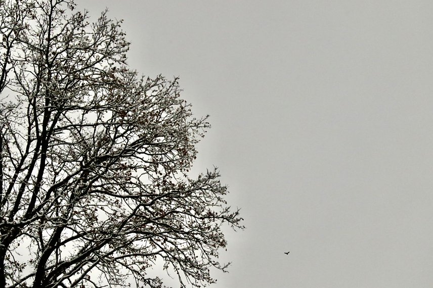 Bild: Wetterbild