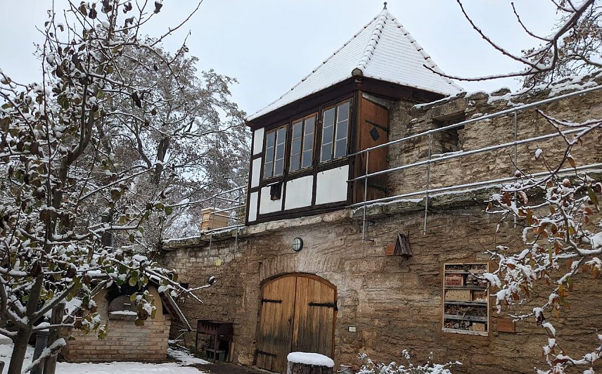 Bild: BUND-Garten Bad Langensalza im Winter