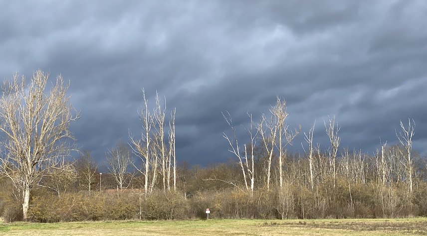 Bild: Das fr&uuml;hliingshafte Wetter bleibt uns weiter erhalten