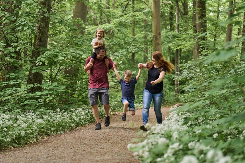 Bild: 25 Jahre Nationalpark Hainich