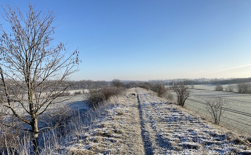 Bild: Das frostige Wetter geht weiter
