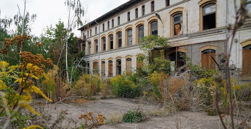 Bild: Die leerstehende Immobilie in der Kurzen Stra&szlig;e hat die SWG erworben. Das Haus soll k&uuml;nftig als Material- und Ersatzlager sowie f&uuml;r B&uuml;rofl&auml;chen genutzt werden. Die Planungen sind f&uuml;r 2023 vorgesehen. 