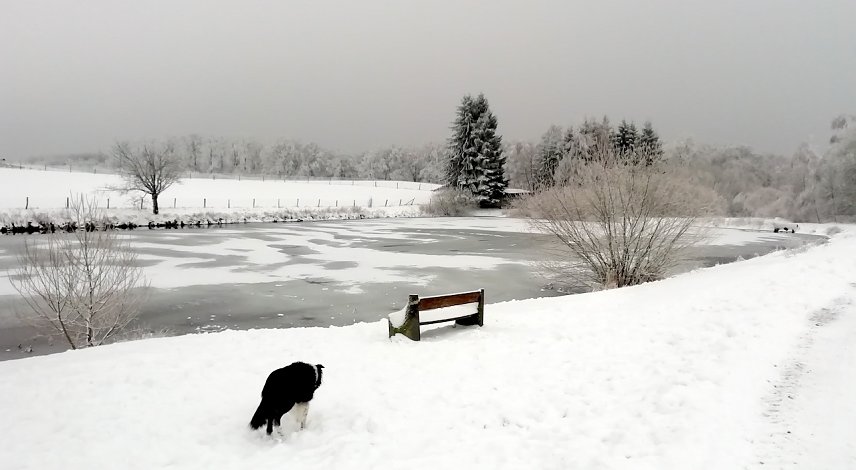 Bild: Der winterliche Harz l&auml;dt bei Werten um den Gefrierpunkt zu Spazierg&auml;ngen ein