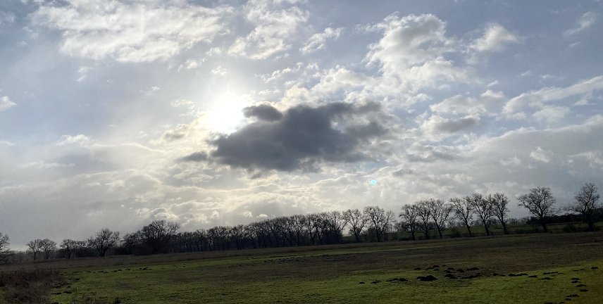 Bild: Das Januarwetter in der Statistik