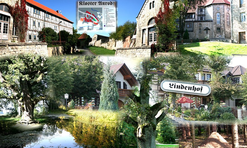 Bild: Collage