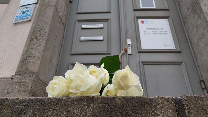 Bild: Wei&szlig;e Rosen in M&uuml;hlhausen