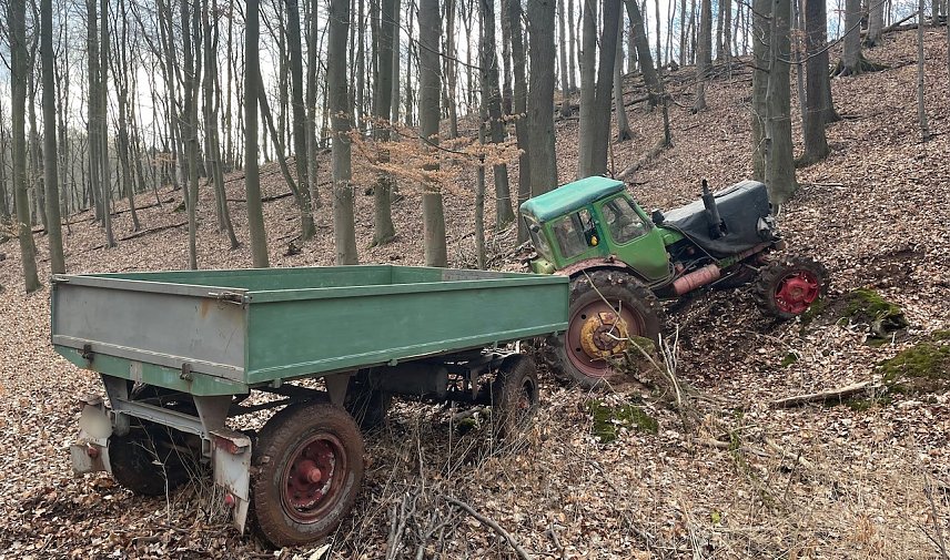 Bild: Ende einer wilden Flucht im Wald bei Herrmannsacker