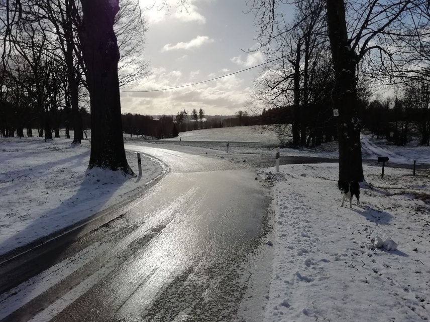 Bild: In Sophienhof ist der Winter noch einmal zur&uuml;ckgekehrt