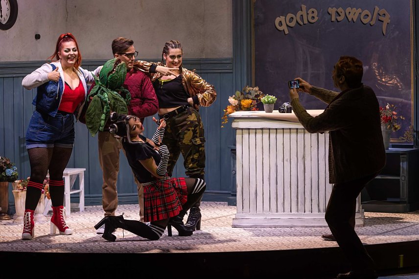 Bild: Das Kultmusical "Der kleine Horrorladen" feiert am Freitag Premiere in Sondershausen