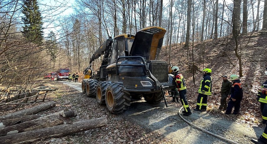 Bild: Gr&ouml;&szlig;erer Schaden konnte dank des raschen Eingreifens der Feuerwehr verhindert werden