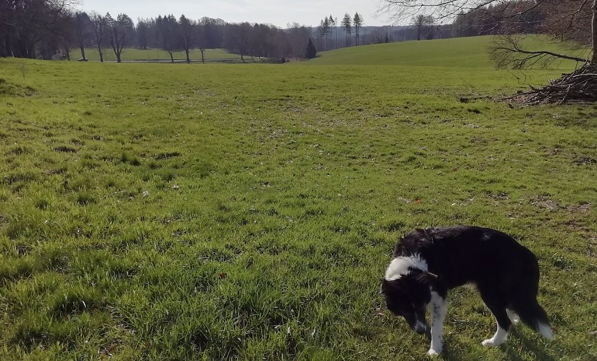 Bild: Sonnig, windstill und 5 Grad meldete Sophienhof heute morgen