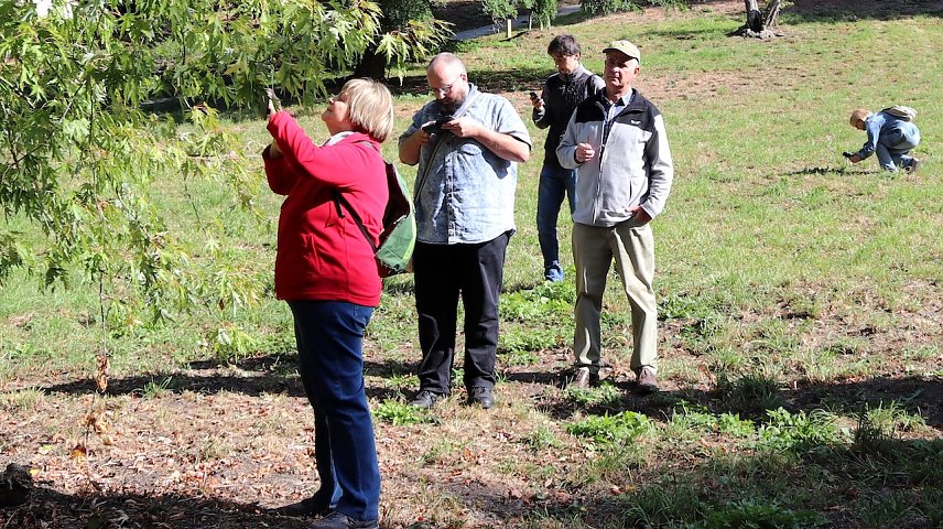 Bild: Natur entdecken mit dem Smartphone 