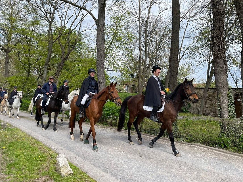 Bild: Die Reiterschaft erreicht das Pflegeheim Schloss Sophie von K&uuml;hn in Gr&uuml;ningen nach dem 20. Novalisritt