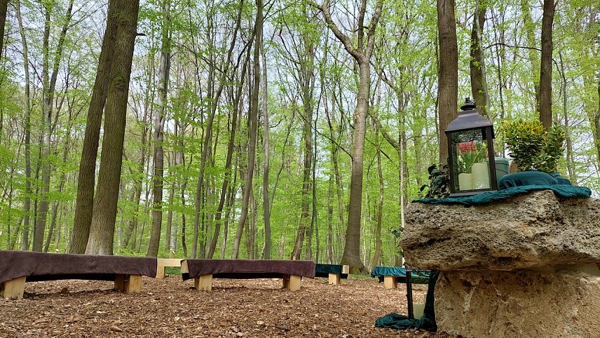 Bild: Waldfriedhof