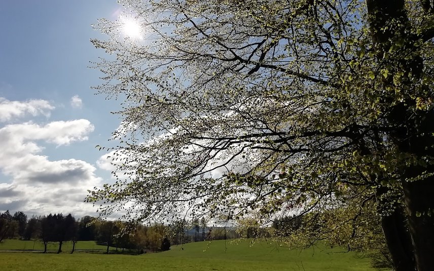 Bild: Zehn Grad und viel Sonne vermeldet Sophienhof heute Morgen