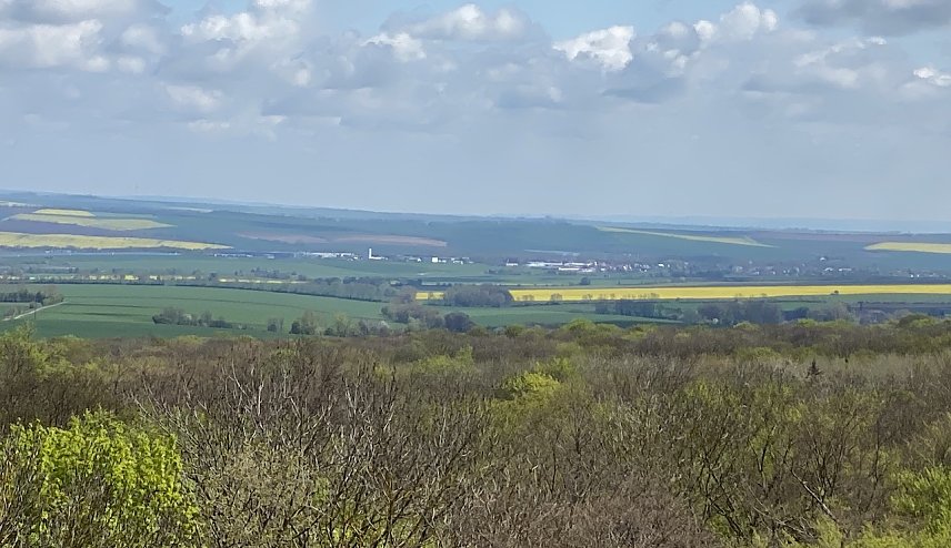 Bild: Blick vom Baumkronenpfad