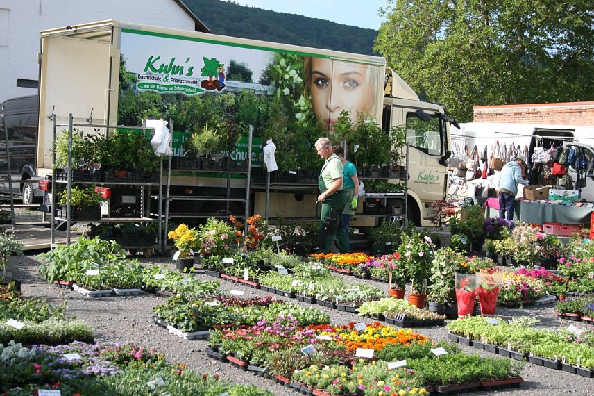 Bild: Der Maibauernmarkt in Kelbra startet am 20. Mai