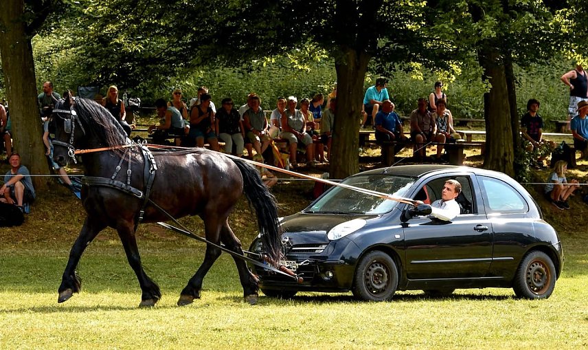 Bild: Ponyshow in W&uuml;lfingerode