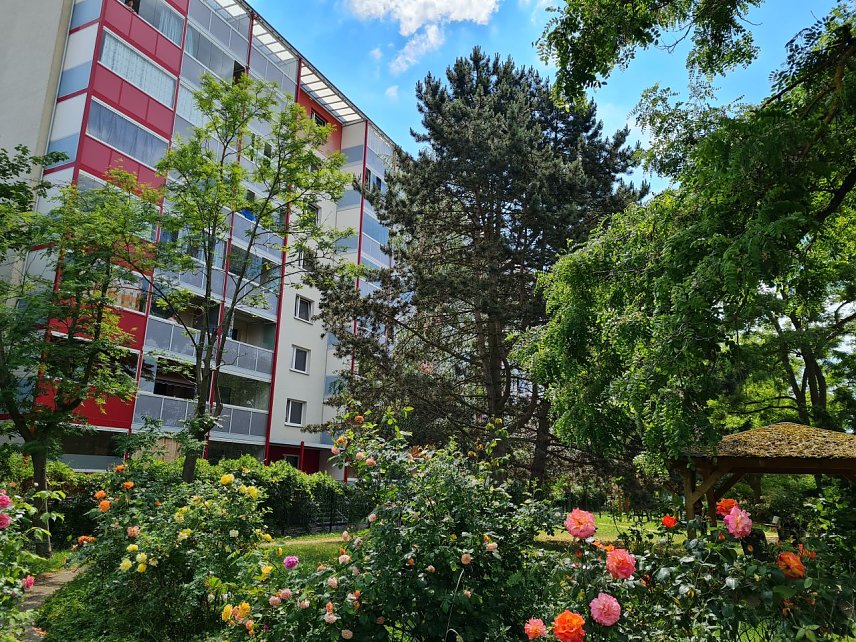 Bild: Blick auf den Wohnblock Zuckerweg 3/3a: Mit 189 Wohnungen ist er der gr&ouml;&szlig;te Wohnblock der SWG in Nordhausen.