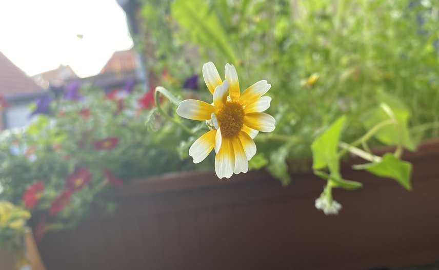 Bild: Weiter wechselhaftes Wetter