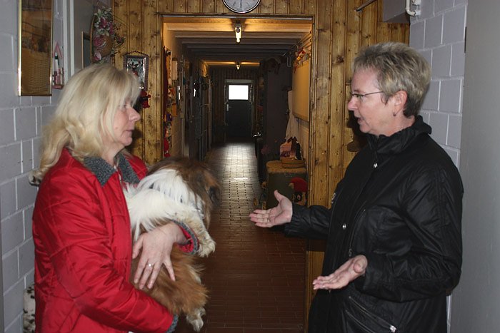Bild: Im Tierheim Gehofen