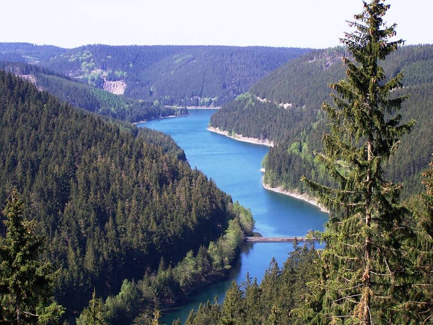 Bild: Th&uuml;ringen verf&uuml;gt &uuml;ber herrliche Waldlandschaften und ein ausgedehntes Waldwegenetz: Der fortschreitende Klimawandel beeintr&auml;chtigt beides