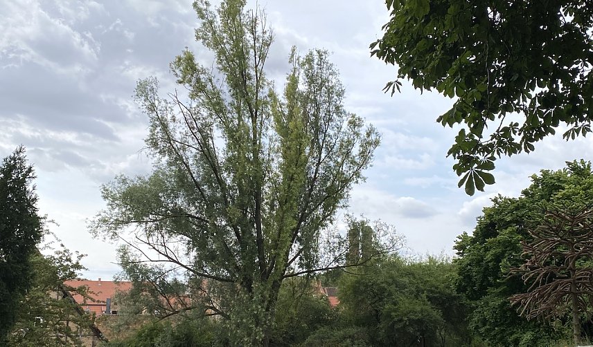Bild: Weiterhin st&uuml;rmisches Wetter