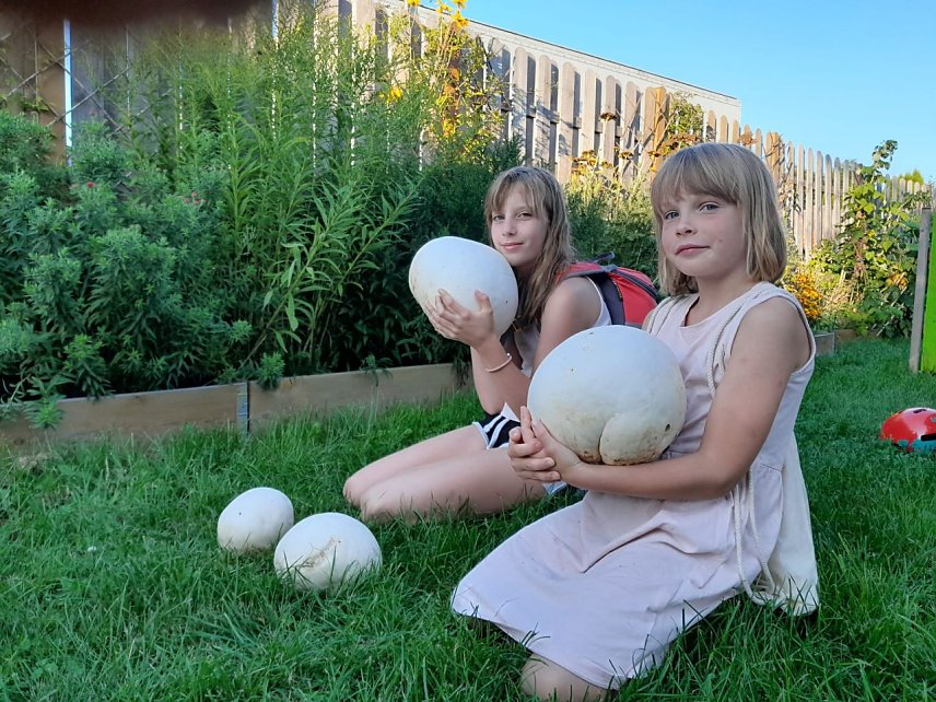Bild: Thea Hasenpflug (9 Jahre) und Greta Braun (7 Jahre) haben beim Wandern auf einer Wiese in Wolkramshausen Riesenboviste gefunden