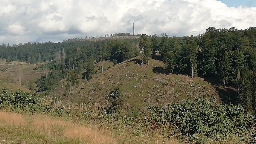 Bild: 16 Grad, leichter Wind und Sonne heute in Sophienhof im Harz