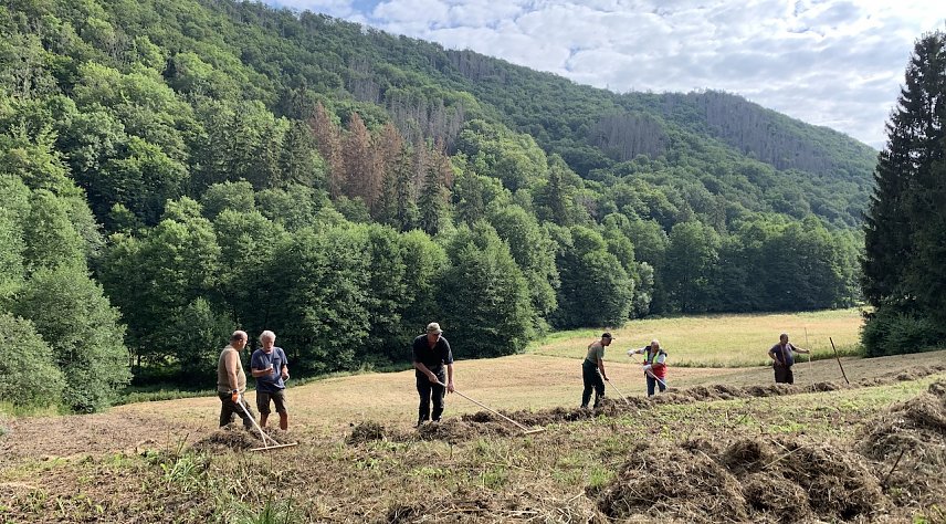 Bild: Landschaftspflege im Brandesbachtal