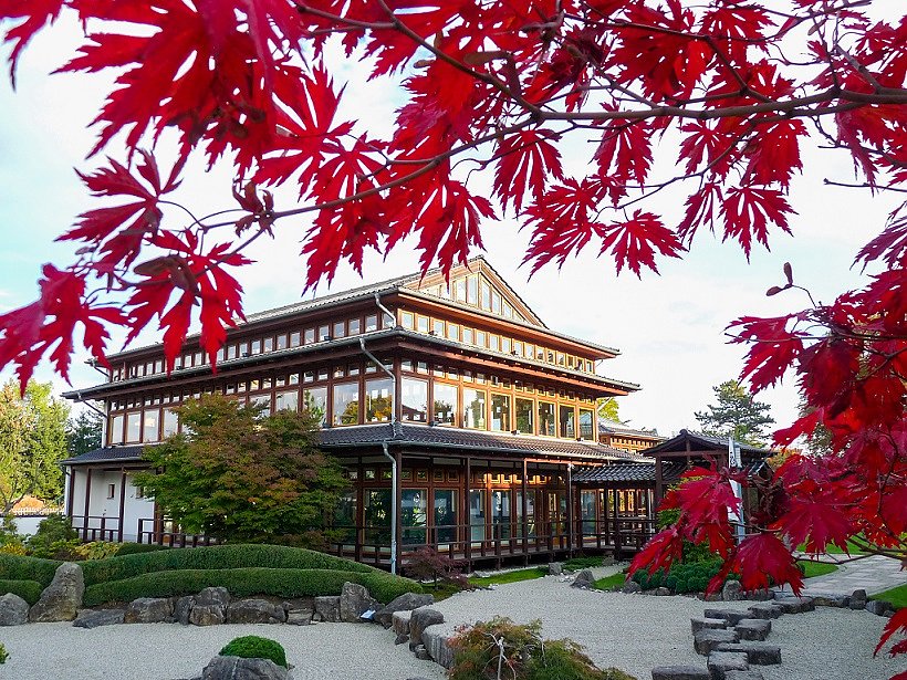 Bild: Japanischer Garten im Herbst 