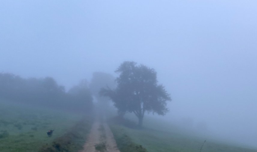 Bild: Der Herbst h&auml;lt sichtbar Einzug