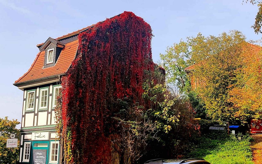 Bild: Herbststimmung am Nordh&auml;user Restaurant Felix in der Altstadt