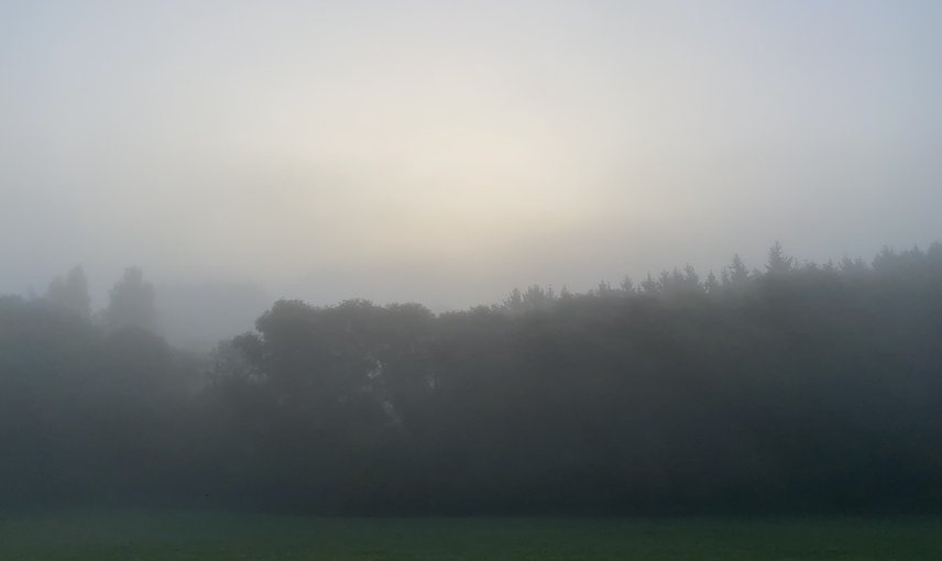 Bild: Vielfach ist es neblig im Freistaat und die Sonne k&auml;mpft sich nur langsam durch