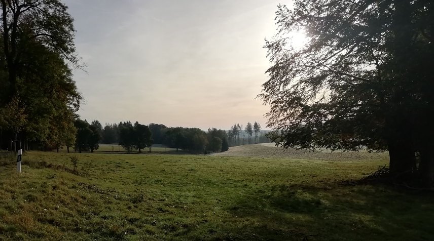 Bild: Minus 1,6 Grad und Sonne meldet Sophienhof heute Morgen