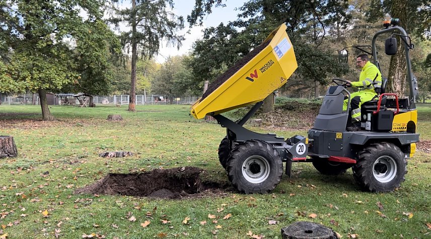 Bild: Baumpflanzungen im Stadtpark
