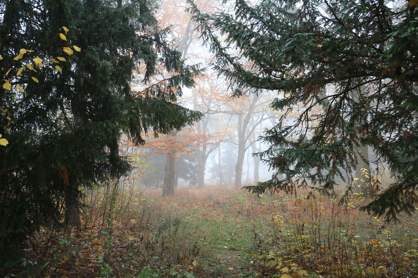 Bild: Herbststimmung im Lindenhof
